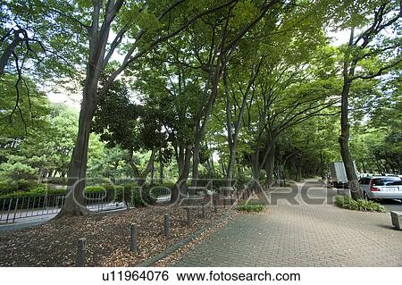Meijo Park, Nagoya city, Aichi Prefecture, Japan View Large Photo Image Stock Photograph - Meijo Park, Nagoya city, Aichi Prefecture, Japan . Fotosearch