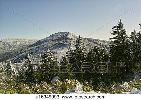 Stock Image - Minami Zao, Yamagata Prefecture, Japan. Fotosearch