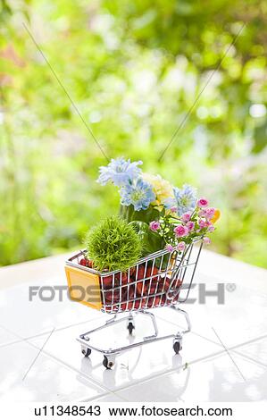 Miniature Shopping Cart with Flowers View Large Photo Image Stock Image - Miniature Shopping Cart with Flowers. Fotosearch