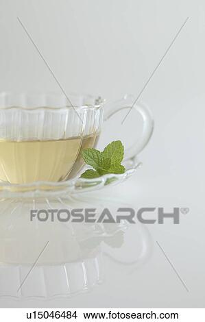Picture - Mint tea. Fotosearch