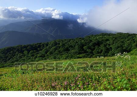 Mount Ibuki View Large Photo Image Stock Photo - Mount Ibuki. Fotosearch