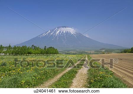 Mount Yotei View Large Photo Image Stock Image - Mount Yotei. Fotosearch