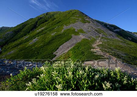 Mountain Top View Large Photo Image Stock Photo - Mountain Top. Fotosearch