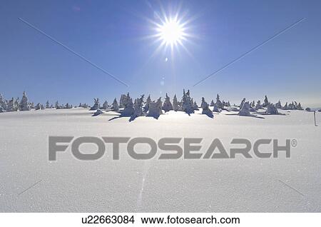 Picture - Mt. Jizo in winter, Yamagata Prefecture, Japan. Fotosearch
