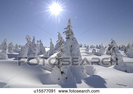 Stock Image - Mt. Jizo in winter, Yamagata Prefecture, Japan. Fotosearch