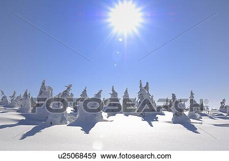 Stock Photo - Mt. Jizo in winter, Yamagata Prefecture, Japan. Fotosearch