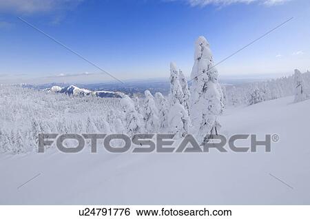 Stock Photograph - Mt. Jizo in winter, Yamagata Prefecture, Japan. Fotosearch