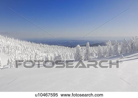 Stock Photography - Mt. Jizo in winter, Yamagata Prefecture, Japan. Fotosearch