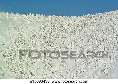 Stock Image - Mt. Kumano (part of Zao mountain range), Yamagata Prefecture, Japan. Fotosearch