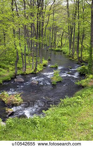 Stock Photography - Nagase river, Fukushima Prefecture, Honshu, Japan. Fotosearch
