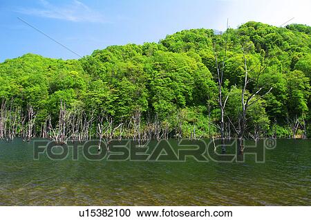 Stock Image - Ochiai dam, Akaigawa village, Hokkaido Prefecture, Japan. Fotosearch
