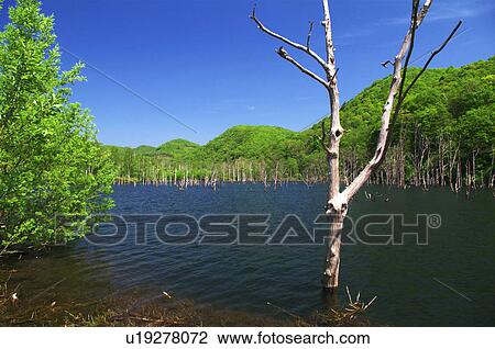 Stock Image - Ochiai dam, Akaigawa village, Hokkaido Prefecture, Japan. Fotosearch