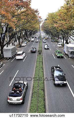 Omotesando Avenue View Large Photo Image Stock Image - Omotesando Avenue. Fotosearch