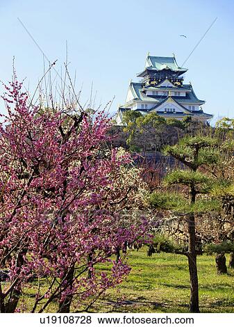 Osaka Castle View Large Photo Image Stock Photo - Osaka Castle. Fotosearch