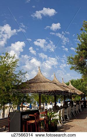 Parasols and Chairs at Beach View Large Photo Image Picture - Parasols and Chairs at Beach. Fotosearch