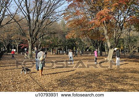 Stock Image - People Walking Dogs. Fotosearch