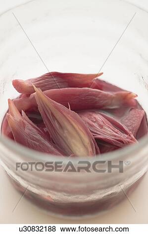 Pickled myoga ginger View Large Photo Image Stock Photo - Pickled myoga ginger. Fotosearch