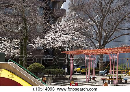 Stock Image - Playground, Nagoya city, Aichi Prefecture, Japan. Fotosearch