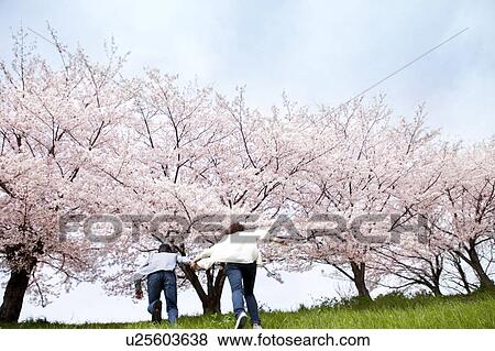Rear view of couple holding hands, rear view View Large Photo Image Stock Photo - Rear view of couple holding hands, rear view. Fotosearch