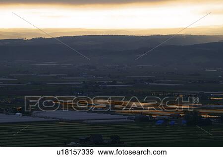 Stock Photo - Rice paddies in the morning, Hokkaido Prefecture, Japan. Fotosearch