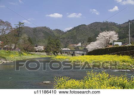 River in Spring View Large Photo Image Stock Image - River in Spring. Fotosearch