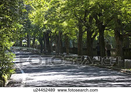 Road next to Higashiyama park, Nagoya city, Aichi Prefecture, Japan View Large Photo Image Stock Photo - Road next to Higashiyama park, Nagoya city, Aichi Prefecture, Japan. Fotosearch