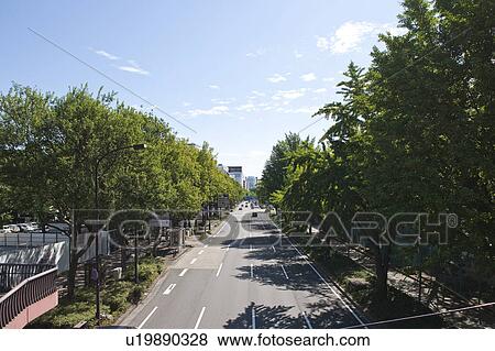 Stock Photo - Road next to park, Nagoya city, Aichi Prefecture, Japan. Fotosearch