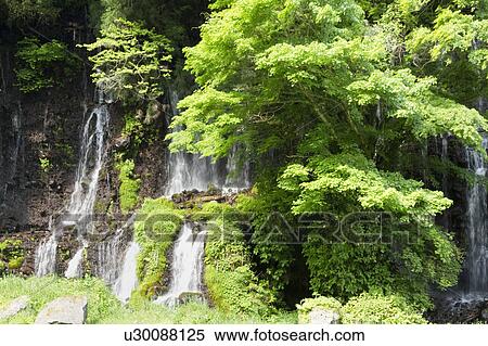Stock Photography - Shiraito Falls. Fotosearch