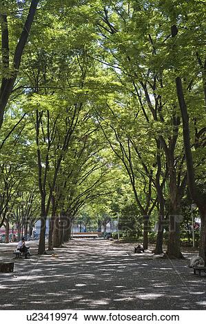 Picture - Shirakawa Park, Nagoya city, Aichi Prefecture, Japan. Fotosearch