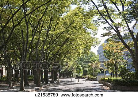 Shirakawa Park, Nagoya city, Aichi Prefecture, Japan View Large Photo Image Stock Photo - Shirakawa Park, Nagoya city, Aichi Prefecture, Japan. Fotosearch