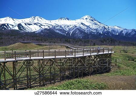 Shiretoko mountain range and boardwalk, Hokkaido Prefecture, Japan View Large Photo Image Picture - Shiretoko mountain range and boardwalk, Hokkaido Prefecture, Japan. Fotosearch