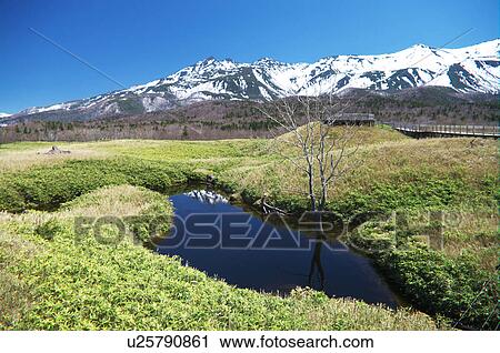 Shiretoko mountain range and boardwalk, Hokkaido Prefecture, Japan View Large Photo Image Stock Image - Shiretoko mountain range and boardwalk, Hokkaido Prefecture, Japan. Fotosearch