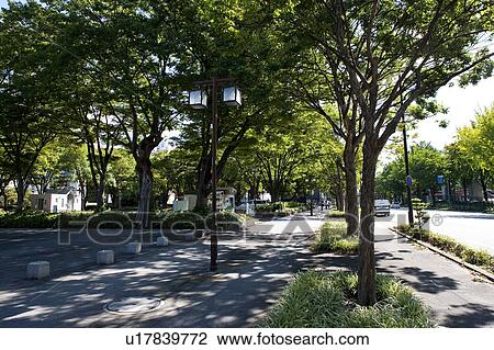 Sidewalk next to park, Nagoya city, Aichi Prefecture, Japan View Large Photo Image Stock Image - Sidewalk next to park, Nagoya city, Aichi Prefecture, Japan. Fotosearch