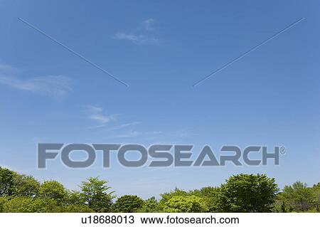 Stock Image - Sky and cloud, Aichi Prefecture, Japan. Fotosearch