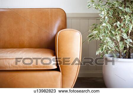 Sofa and houseplant, Hyogo Prefecture, Honshu, Japan View Large Photo Image Stock Image - Sofa and houseplant, Hyogo Prefecture, Honshu, Japan. Fotosearch