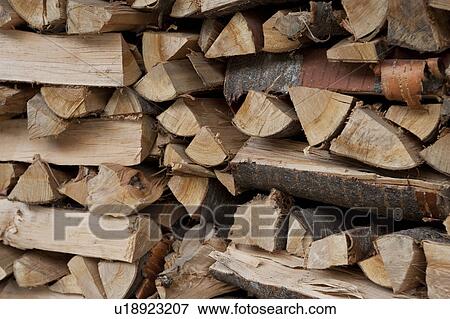 Stack of wood for growing Shitake mushroom, Gifu Prefecture, Japan View Large Photo Image Stock Photo - Stack of wood for growing Shitake mushroom, Gifu Prefecture, Japan. Fotosearch