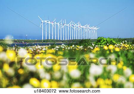 Wind Turbines, Hokkaido Prefecture, Japan View Large Photo Image Stock Image - Wind Turbines, Hokkaido Prefecture, Japan. Fotosearch