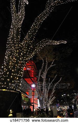Stock Photograph - Winter Lights at Omotesando, Omotesando H. I. S. illuminations Bell symphony . Fotosearch