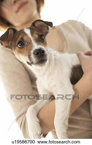 Stock Image - Woman with Jack Russell Terrier. Fotosearch
