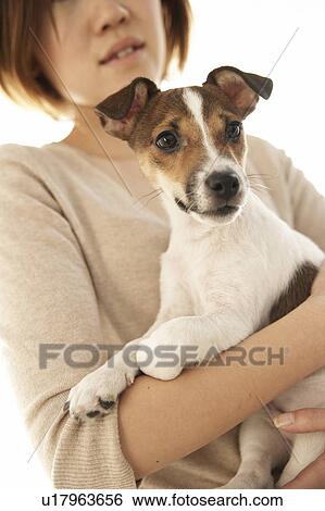 Woman with Jack Russell Terrier View Large Photo Image Stock Photograph - Woman with Jack Russell Terrier. Fotosearch