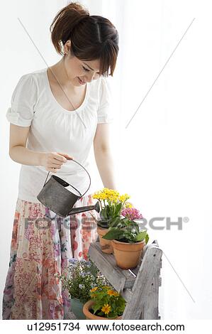 Young woman gardening View Large Photo Image Picture - Young woman gardening. Fotosearch
