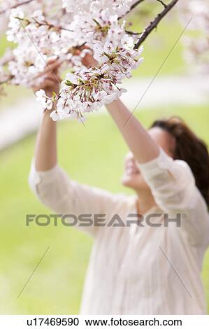Stock Image - Young woman holding cherry tree branch. Fotosearch