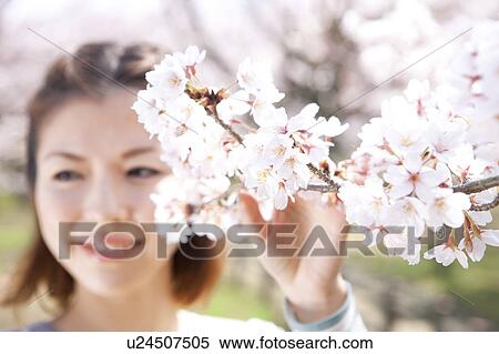 Stock Photography - Young woman holding cherry tree branch. Fotosearch