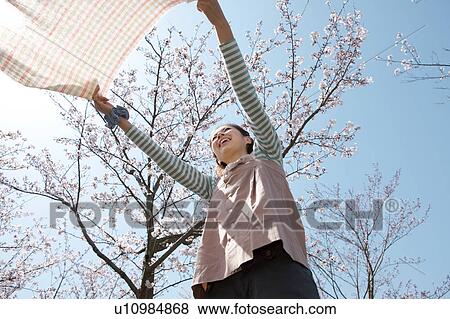 Young woman laying picnic blanket View Large Photo Image Stock Photo - Young woman laying picnic blanket. Fotosearch
