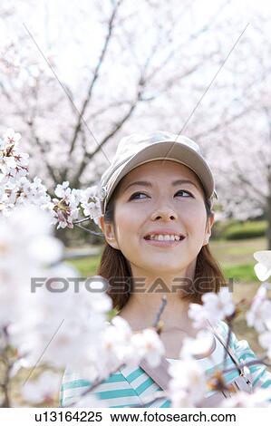 Young woman looking at cherry blossoms View Large Photo Image Stock Photography - Young woman looking at cherry blossoms. Fotosearch