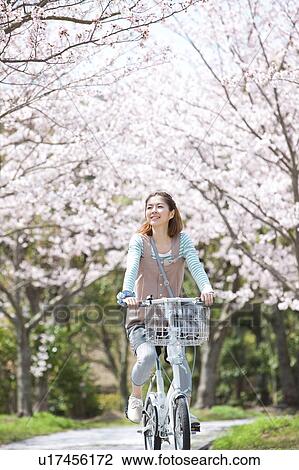 Stock Image - Young woman riding a bicycle near cherry trees. Fotosearch
