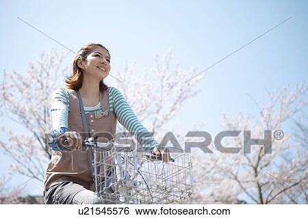 Young woman riding a bicycle near cherry trees View Large Photo Image Stock Photograph - Young woman riding a bicycle near cherry trees. Fotosearch