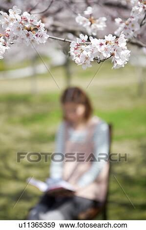Young Woman sitting on chair reading a book View Large Photo Image Stock Photo - Young Woman sitting on chair reading a book. Fotosearch