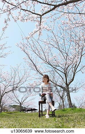 Young Woman sitting on chair reading a book View Large Photo Image Stock Photo - Young Woman sitting on chair reading a book. Fotosearch