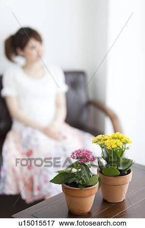 Young woman sitting on sofa and potted flowers on table View Large Photo Image Stock Photo - Young woman sitting on sofa and potted flowers on table. Fotosearch